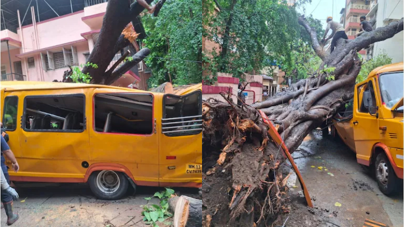 Student Dies 10 Injured After Tree Falls On School Bus In Mumbais Chembur