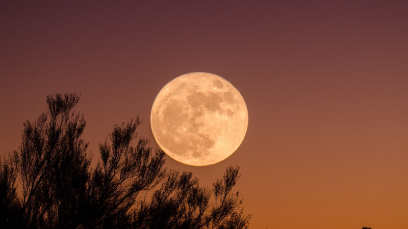 Super Moon Day 1