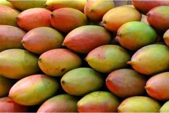 Totapuri Mango