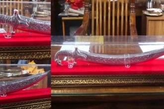 Vijay Gift