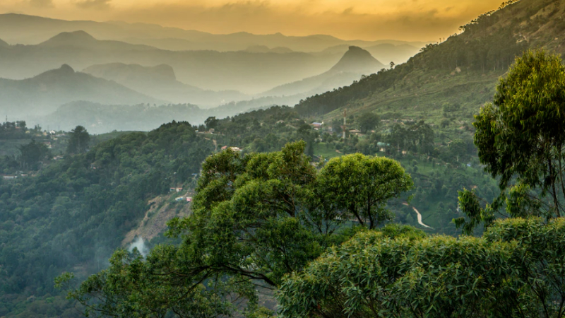 Western Ghats 1