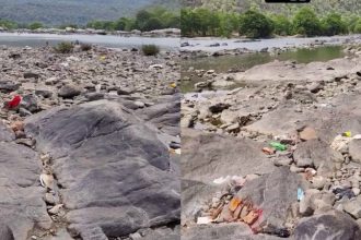 cauvery river