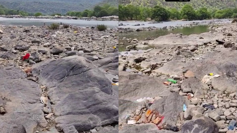 cauvery river