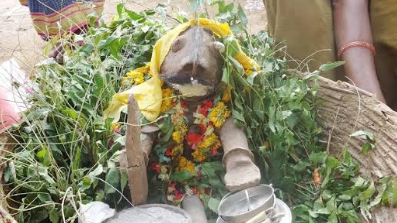 ಮಳೆಗಾಗಿ ಬರ್ತಾನೆ ಜೋಕುಮಾರಸ್ವಾಮಿ - ಉತ್ತರ ಕರ್ನಾಟಕದಲ್ಲಿ ನಡೆಯೋ ಈ ಹಬ್ಬದ ವಿಶೇಷತೆಯೇನು? 15 jokumaraswamy 3