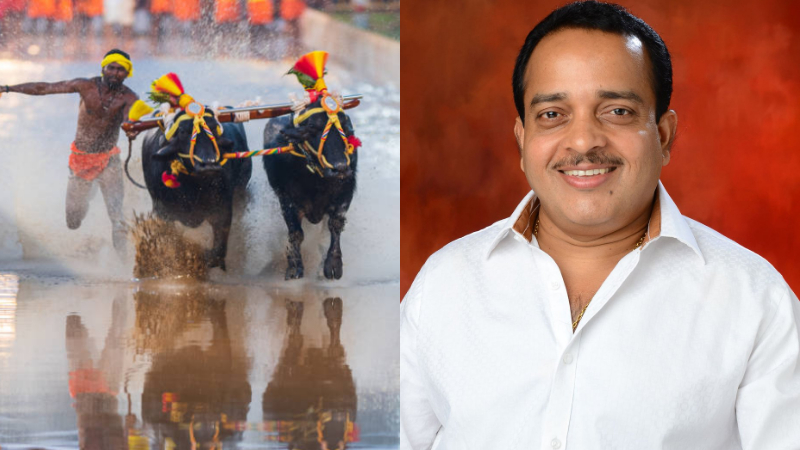 Ashok Rai Mysuru Kambala