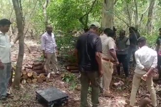 Bagalkot Forest Raid 450 kg Illegal Sandalwood Seized Two Interstate Smugglers Land in Net