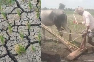 Ballari Farmers