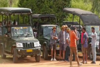 Bandipura Safari 1