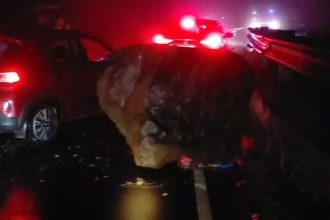 Belagavi Amboli Falls Landslide