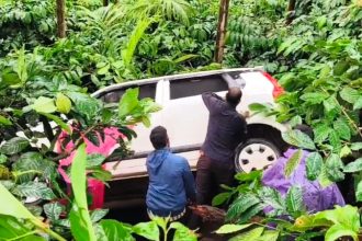 Car overturns in Kalasa Chikkamagaluru five injured