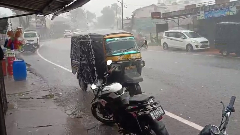 Chikkamagaluru Rain 2