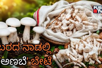 Chitradurga Mushroom Hunt 2 1