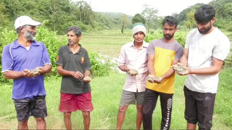 ಕೊಡಗಿನಲ್ಲಿ ಕೋಬಾಲ್ಟ್, ನಿಕಲ್ ಖನಿಜಗಳ ನಿಕ್ಷೇಪ ಪತ್ತೆ..? - ಕೃಷಿ ಭೂಮಿ ಕಳೆದುಕೊಳ್ಳುವ ಆತಂಕದಲ್ಲಿ ಗ್ರಾಮಸ್ಥರು 10 Cobalt Nickel In Kodagu