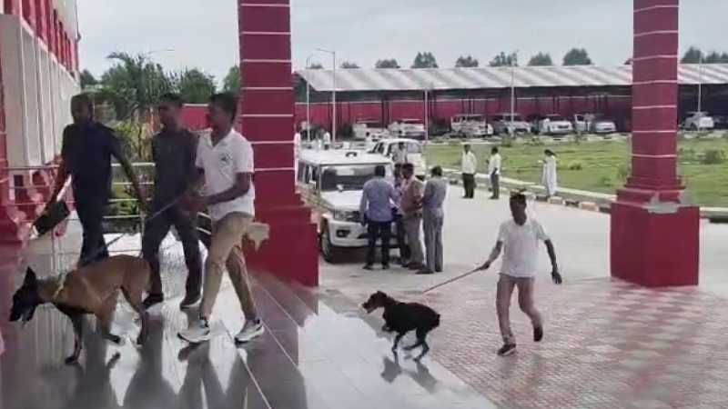 Dog Sqaud