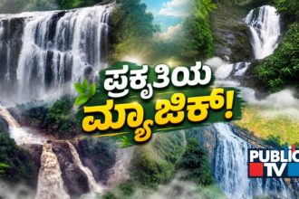 FALLS