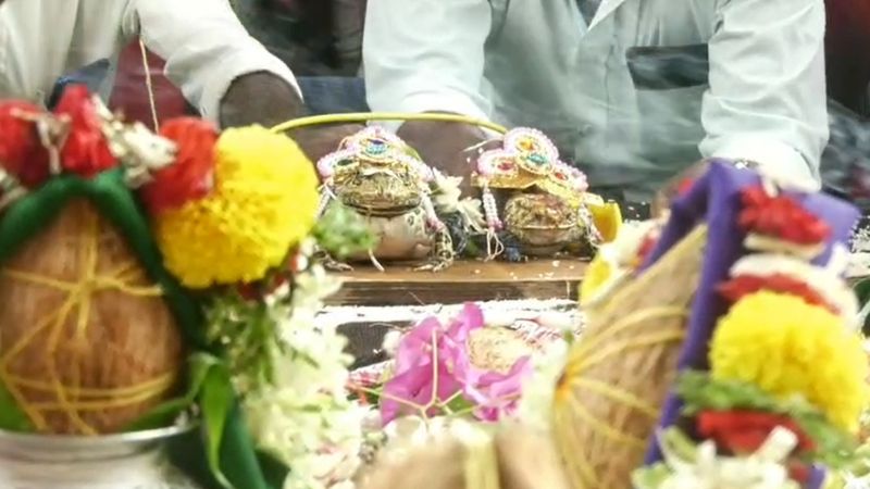 ಮಳೆಗಾಗಿ ಕತ್ತೆ ಕಾಂತೇಶ - ಕಸ್ತೂರಿ ಮದುವೆ; ಧಾರವಾಡದ ಶಿರೂರಿನಲ್ಲಿ ವಿಶಿಷ್ಟ ಆಚರಣೆ 9 Frog marriage