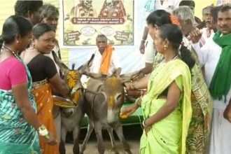 Frog marriage Dharwad