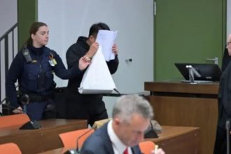 Germany rape gang arrested
