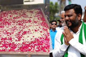 Hassan MLA Swaroop Prakash brought two tractor loads of flowers to pay his final respects to Chennamma Devegowda