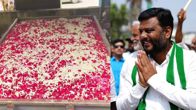 Hassan MLA Swaroop Prakash brought two tractor loads of flowers to pay his final respects to Chennamma Devegowda
