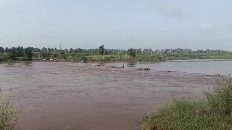 Heavy Rains Trigger Flood Threat Ghataprabha River Swells to 15000 Cusecs Nandagaon Avaradi Bridge Submerged 2
