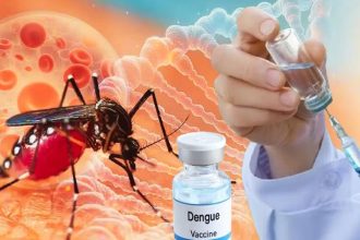 India Approves First Dengue Vaccine
