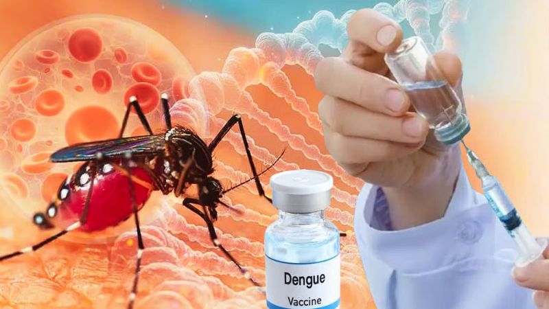 India Approves First Dengue Vaccine