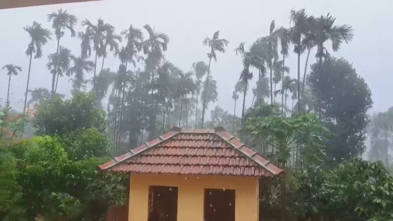 Karnataka Rain Fury School College Holiday Declared in Multiple Taluks of Uttara Kannada Shivamogga Chikkamagaluru and Belagavi