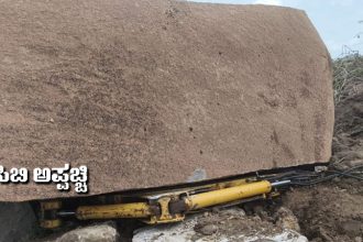 Koppala JCB
