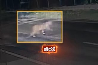 Leopard Terror Returns to Bengaluru Wild Cat Spotted Twice on CCTV in Byadarahalli Locals Panic 1