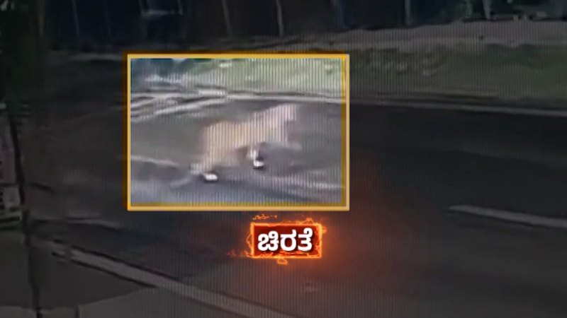 Leopard Terror Returns to Bengaluru Wild Cat Spotted Twice on CCTV in Byadarahalli Locals Panic 1