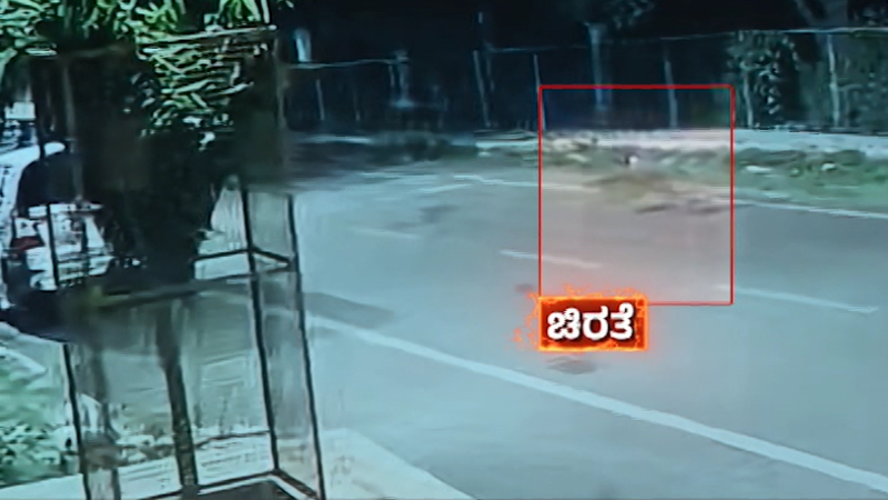 Leopard Terror Returns to Bengaluru Wild Cat Spotted Twice on CCTV in Byadarahalli Locals Panic 2