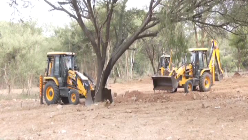 Mysuru Dasara Kambala Plunges Into Controversy 150 Trees Face Axe 6 Acre Lake Being Leveled For 2 Day Event 2