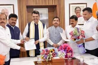 No ban on Karnatakas arecanut vehicles in Maharashtra Devendra Fadnavis agrees to release arecanut transport vehicles