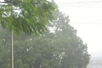 Rain 3 1