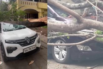 Two cars damaged after tree branch falls in Bengaluru RR Nagar