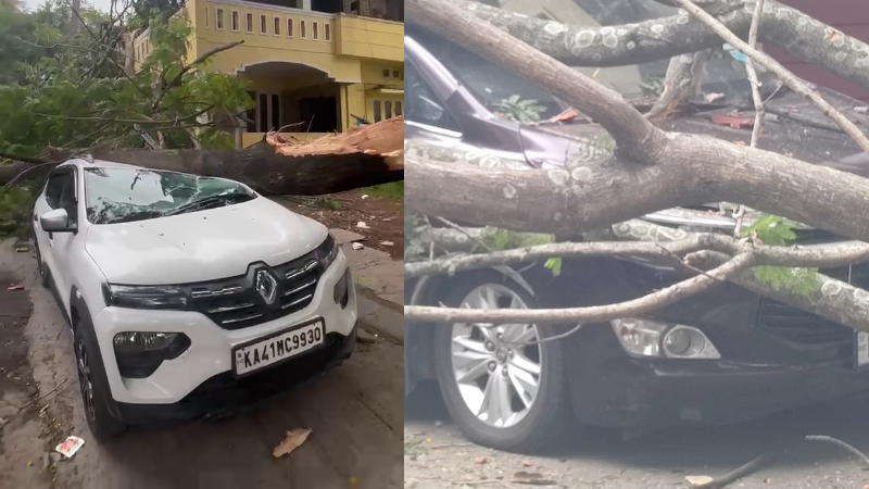 Two cars damaged after tree branch falls in Bengaluru RR Nagar
