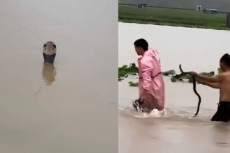 bengaluru Pregnant Woman 1