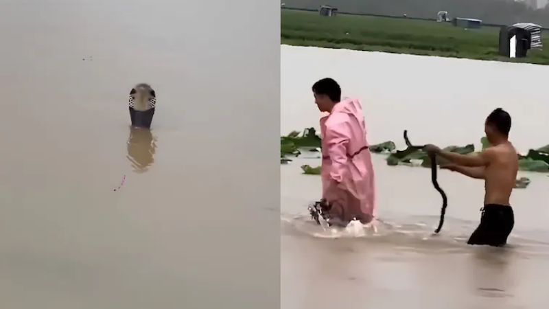 bengaluru Pregnant Woman 1
