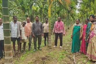 hassan farmers