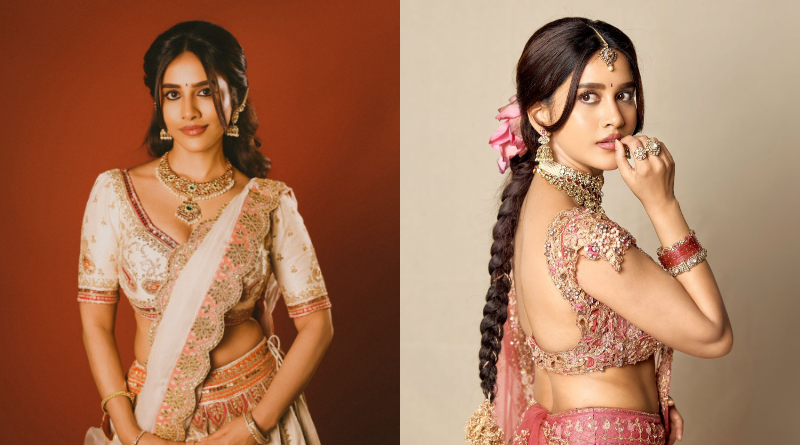 nabha Natesh