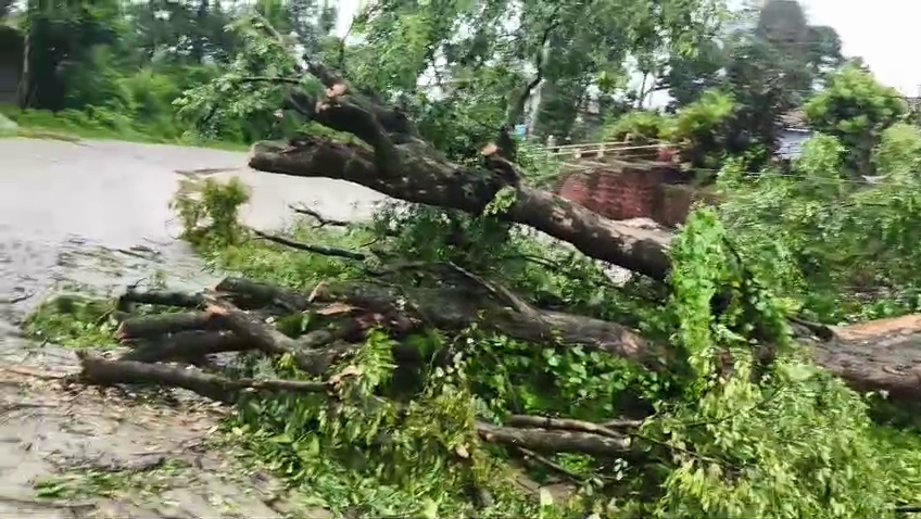 Karnataka Rains Live Updates | ಜಲಾಶಯಗಳ ಒಳಹರಿವಿನಲ್ಲಿ ಹೆಚ್ಚಳ- ಕರಾವಳಿಯಲ್ಲಿ ಸಮುದ್ರದ ಅಬ್ಬರ 21 vlcsnap 2026 07 06 15h24m25s504