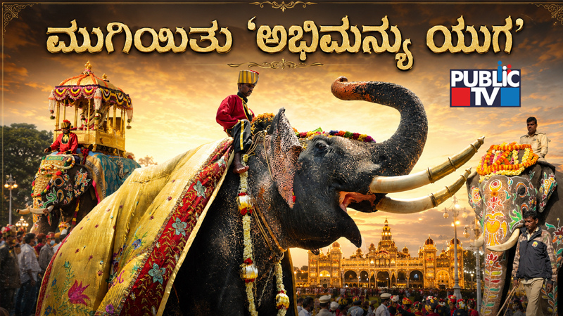 Abhimanyu Elephant 2