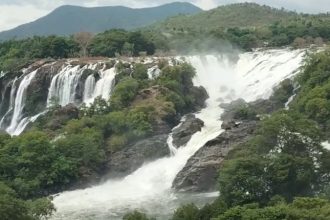 Bharachukki Falls