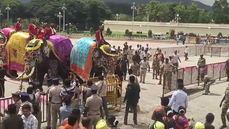 Dasara Elephant 2