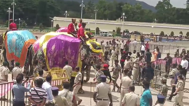 Dasara Elephant 3