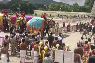 Dasara Elephant