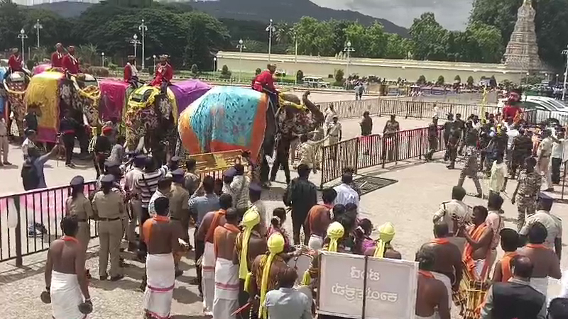 Dasara Elephant