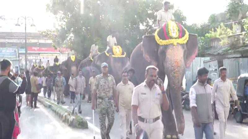 ಮೈಸೂರು ದಸರಾ ಆನೆಗಳ ತೂಕ ಪರೀಕ್ಷೆ: ಶ್ರೀಕಂಠನೇ ಹೆಚ್ಚು ಬಲಶಾಲಿ, ಕೊನೇ ಸ್ಥಾನದಲ್ಲಿ ಕಾವೇರಿ 11 Dasara Elephants 2 1