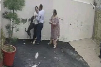Dog Attack